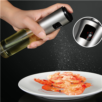 Stainless Steel Spray Can