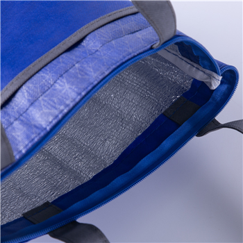 Lunch Cooler Tote