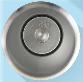 20 oz. Portable Stainless Steel Bottle